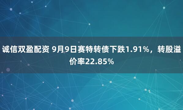 诚信双盈配资 9月9日赛特转债下跌1.91%，转股溢价率22.85%