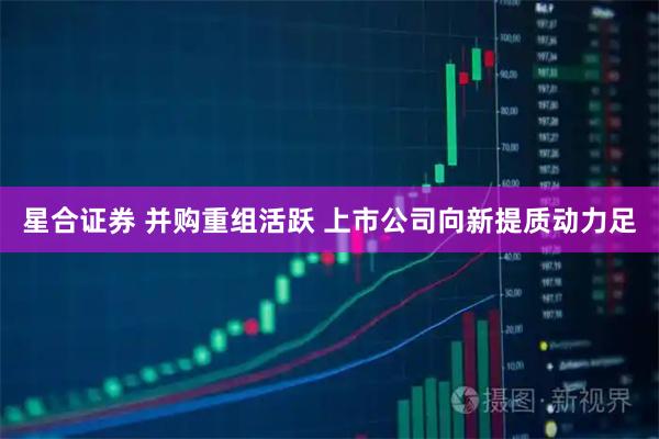 星合证券 并购重组活跃 上市公司向新提质动力足