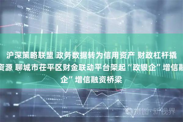 沪深策略联盟 政务数据转为信用资产 财政杠杆撬动信贷资源 聊城市茌平区财金联动平台架起“政银企”增信融资桥梁
